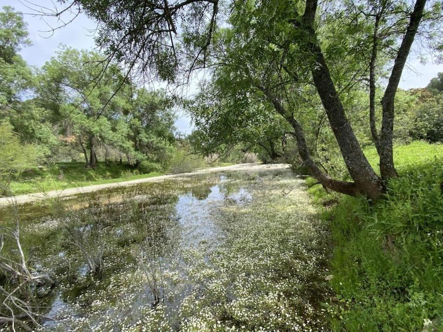 Finca La Alcolehuela En Parque Natural De Despenaperros Σάντα Έλενα Εξωτερικό φωτογραφία