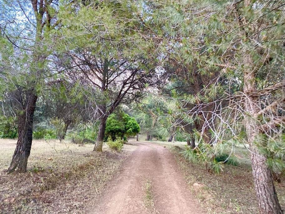Finca La Alcolehuela En Parque Natural De Despenaperros Σάντα Έλενα Εξωτερικό φωτογραφία