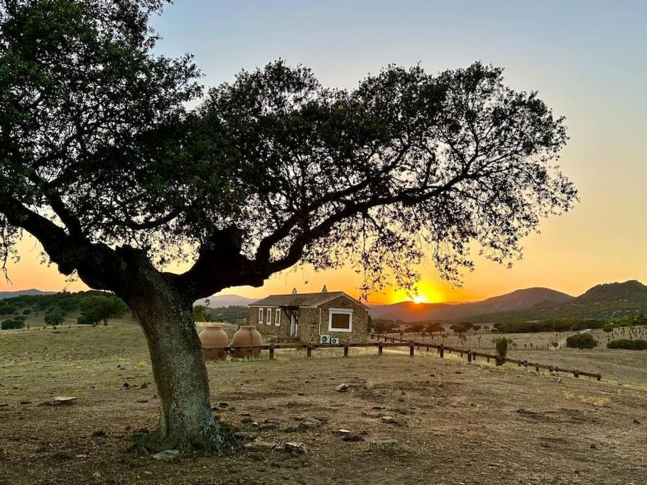 Finca La Alcolehuela En Parque Natural De Despenaperros Σάντα Έλενα Εξωτερικό φωτογραφία