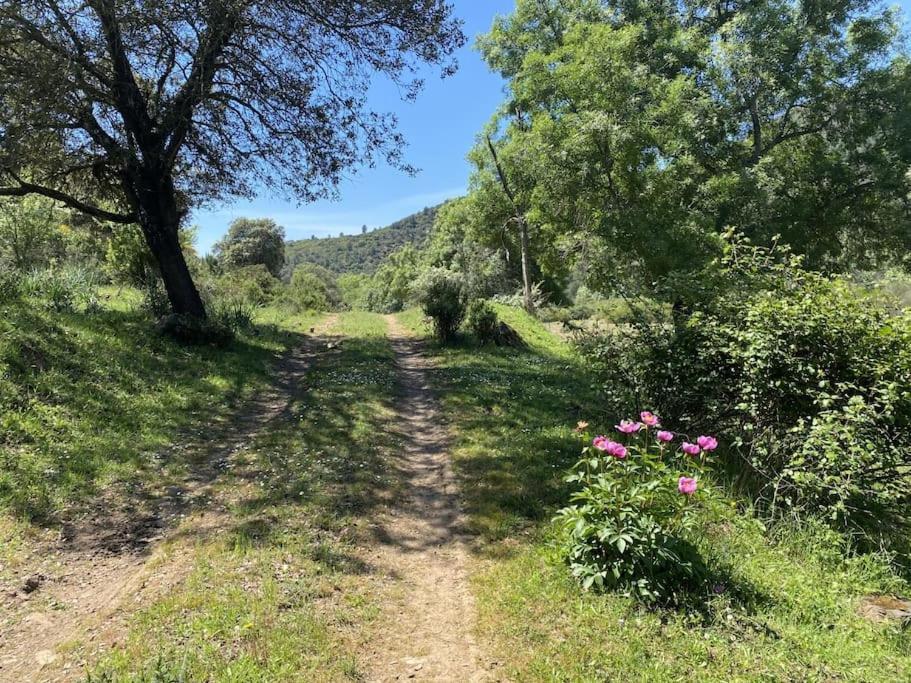 Finca La Alcolehuela En Parque Natural De Despenaperros Σάντα Έλενα Εξωτερικό φωτογραφία