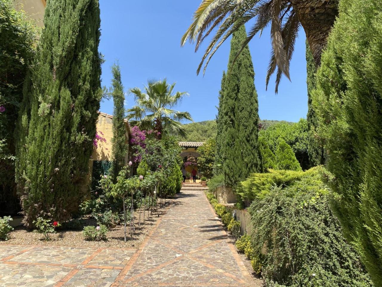 Finca La Alcolehuela En Parque Natural De Despenaperros Σάντα Έλενα Εξωτερικό φωτογραφία